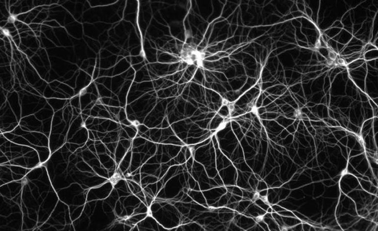 Introdução às Redes Neurais Artificiais