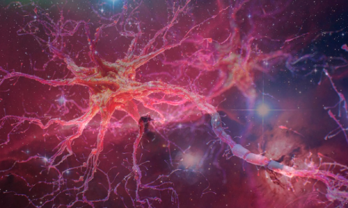 Enigma: O universo ou o nosso cérebro, o que é mais complexo?