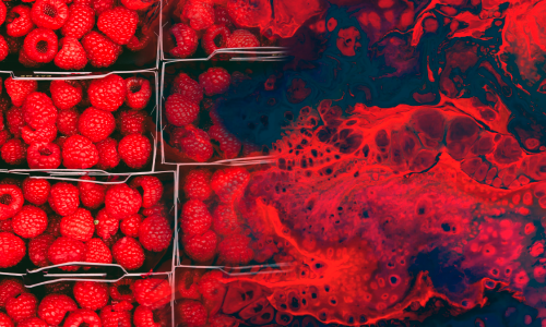 Frutas vermelhas e leucemia: uma revisão sistemática de estudos experimentais e o efeito in vitro do ácido elágico sobre células de leucemia mieloide crônica.