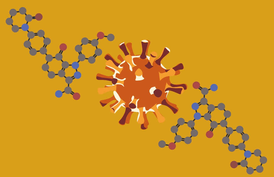 O papel dos derivados da pirazolopiridina nas diferentes etapas do ciclo replicativo do vírus herpes simplex tipo 1 in vitro