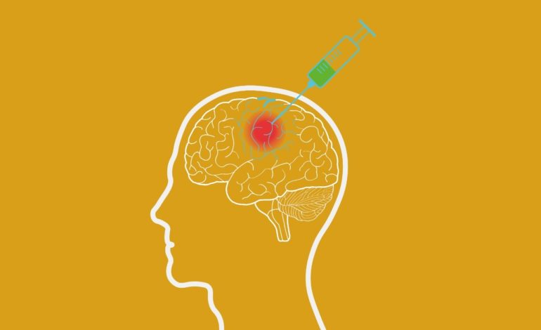 Injeção intracerebral de heme induz peroxidação lipídica, neuroinflamação e déficits sensório-motores