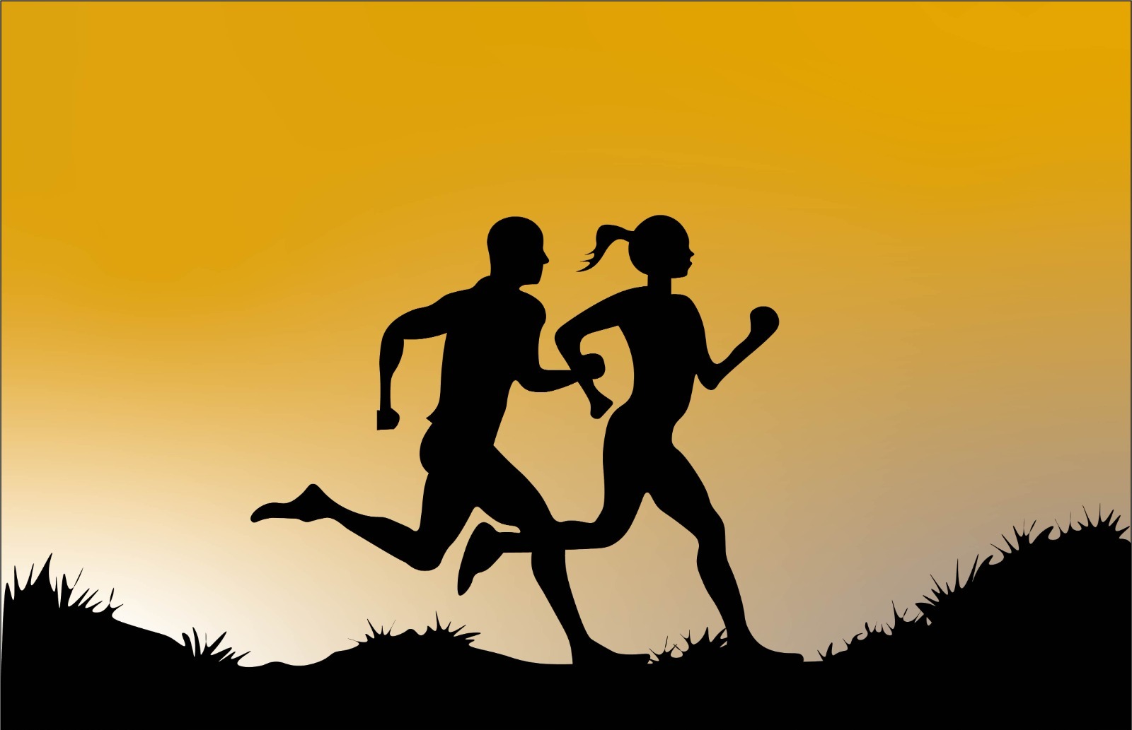 Lipocalina associada à gelatinase neutrofílica (NGAL) sérica e urinária não está associada a parâmetros redox séricos em atletas amadores após uma ultramaratona