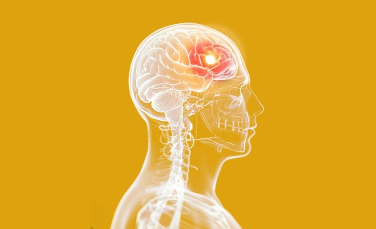 Heme como indutor de dano cerebral no AVC hemorrágico: potenciais implicações terapêuticas